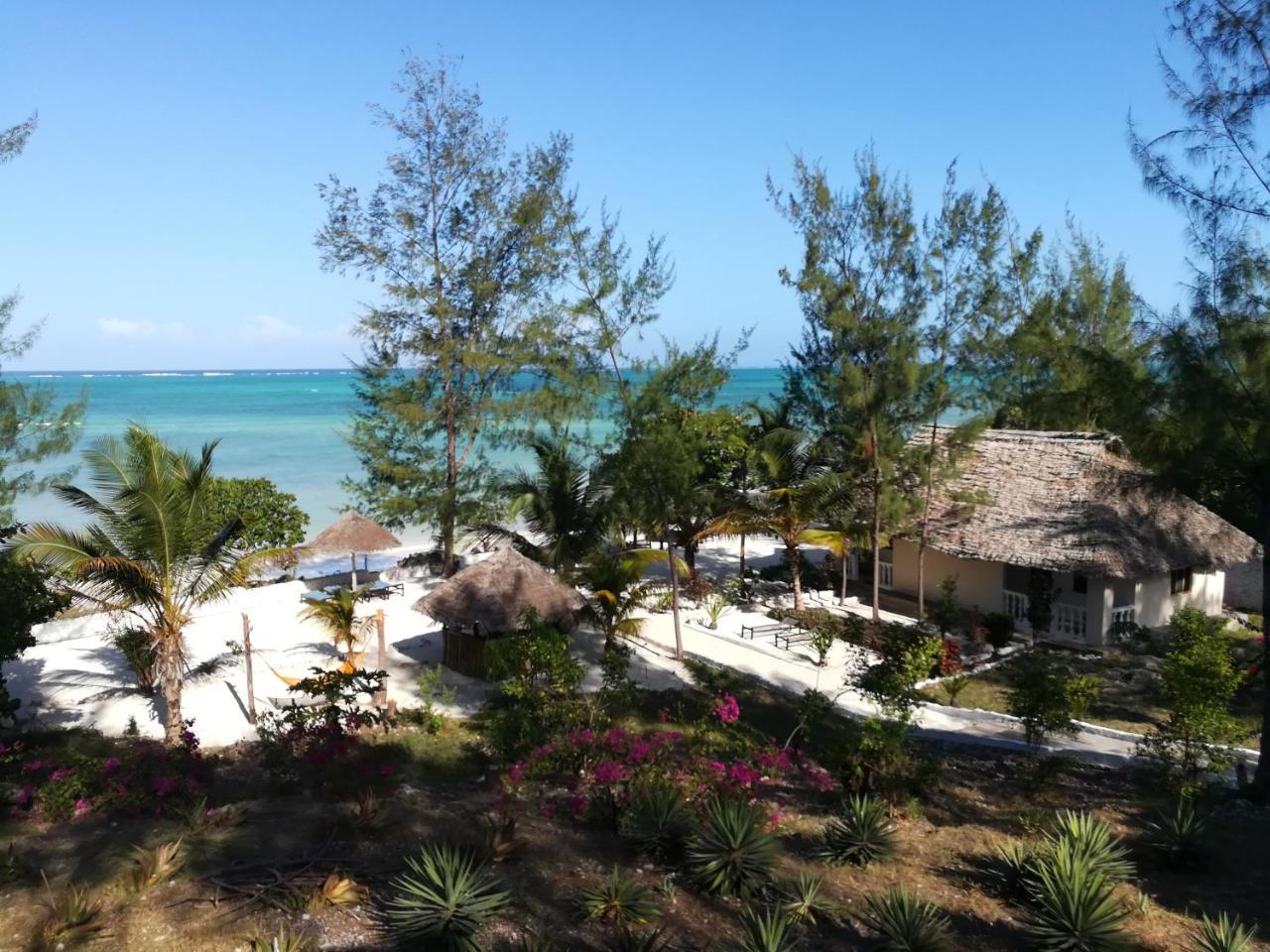 Panorama Ocean View Hotel Paje Exterior photo